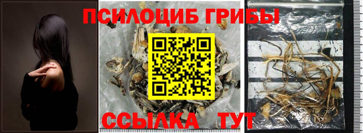 Псилоцибиновые грибы Psilocybine cubensis  Вход с VPN  Углич 
